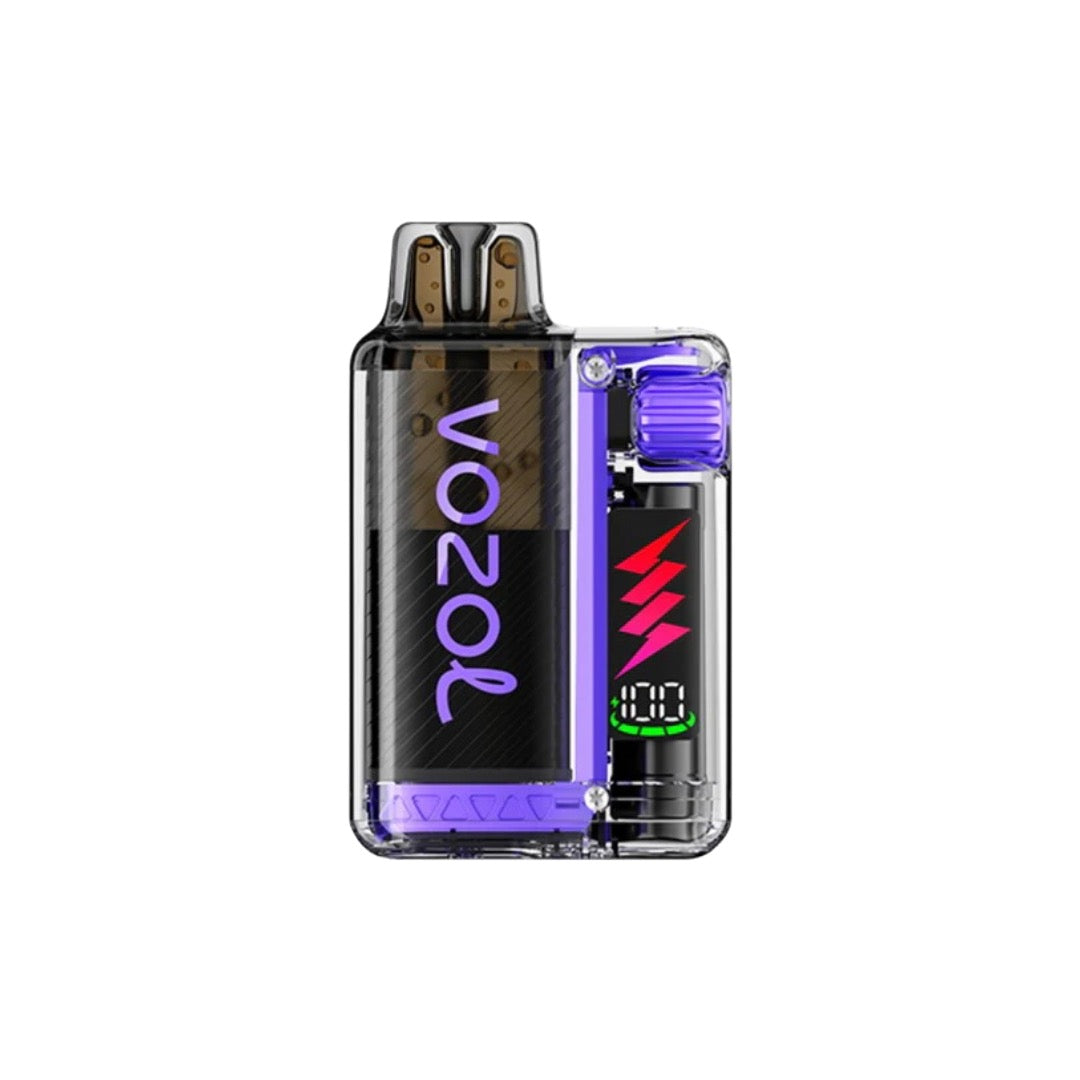 Vozol Vista Plug 10k Prefilled Pod Vape Kit 10000 Puffs